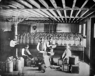 The Interior of the U.S. Fish Commission's Central Station in Washington D.C. The jars in the background are hatching jars for eggs. Fish and eggs from all over the world were collected and distributed from this room.National Archives 22-ffb-491