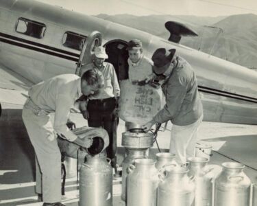 The California Department of Fish and Game pioneered aerial fish planting in the years following World War II. In this photo, taken about 1950 in Bishop, CA, Dave Ward, Lee Talbot, Carrol Faist, and Jim McGregor prepare to load an WWII-surplus Beechcraft C-45 with fingerlings.