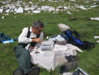 Biologist Roland Knapp examines invertebrates he has sampled from a Sierra lake in July, 2006. Knapp has been studying the effects of fish removal on other inhabitants of such lakes including amphibians and invertebrates like these.Photo by Anders Halverson