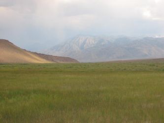 A view of the Sierra Nevada from Fish Slough, where the last population of Owens pupfish were discovered by Phil Pister, Robert Miller, and Carl Hubbs in 1964.Photo by Anders Halverson