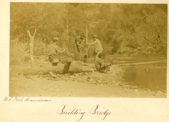 The crew of the U.S. Fish Commission builds a bridge across the McCloud with the help of a Wintu Indian (right).Photo courtesy of Becky McCue, granddaughter of Livingston Stone.