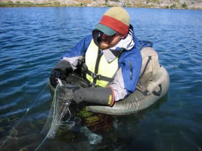 A seasonal employee of the U.S. Forest Service removes a dead rainbow trout from a gillnet in a Sierra Nevada lake in the fall of 2006.Photo by Anders Halverson