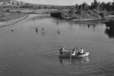 Citizens like those pictured here were invited to gather the fish that had been killed by the rotenone in the Green River. Agency officials assured them the fish were safe to eat.Photo by Rex Gary Schmidt. Courtesy of National Conservation Training Center. #4488