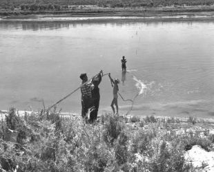 Setting up a rotenone drip station in the mouth of flaming gorge in 1962.Photo by Rex Gary Schmidt. Courtesy of National Conservation Training Center, FWS 4490