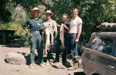 Robert R. Miller, Jerry Smith, Jane Davis, and Jack Davis hold up Colorado Pikeminnow killed during the Green River rotenone project in 1962 near Little Hole, Utah.Courtesy of Jerry Smith, University of Michigan Museum of Zoology.