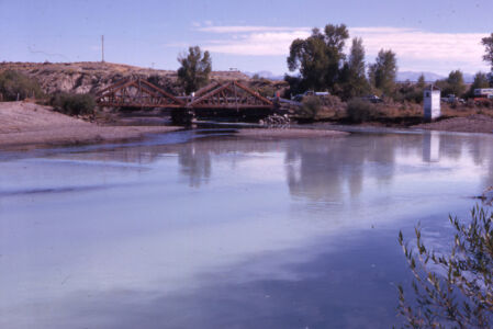 Courtesy of Jerry Smith, University of Michigan Museum of Zoology