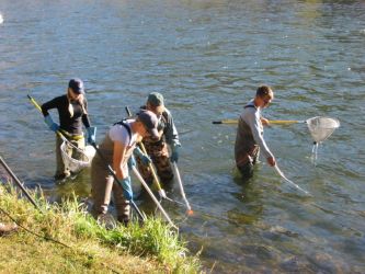 A Colorado Division of Wildlife crew electrofishing in the Gunnison Gorge. Some of the crew hold wands that send out a small electric shock, while others wait to net the stunned fish.Photo by Anders Halverson
